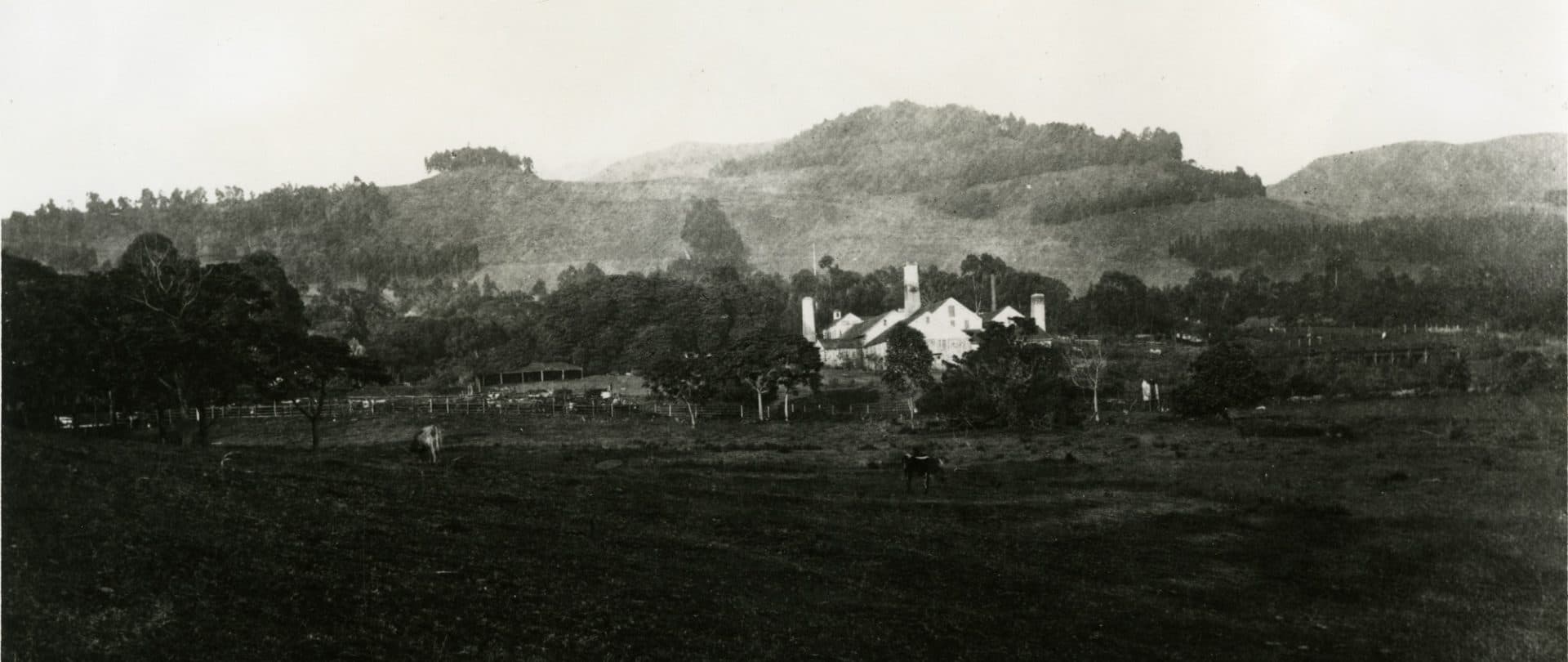 card-image