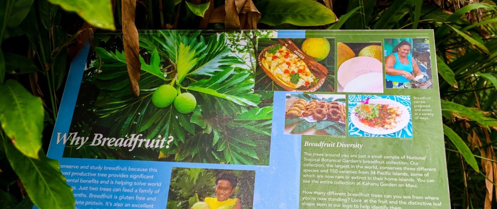 card-image
