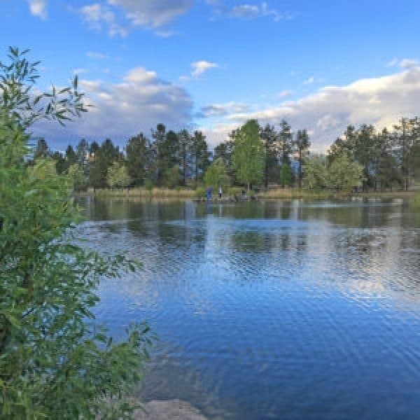 card-image