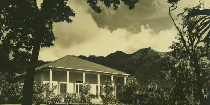 card-image