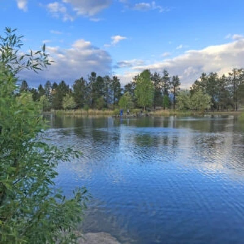 card-image