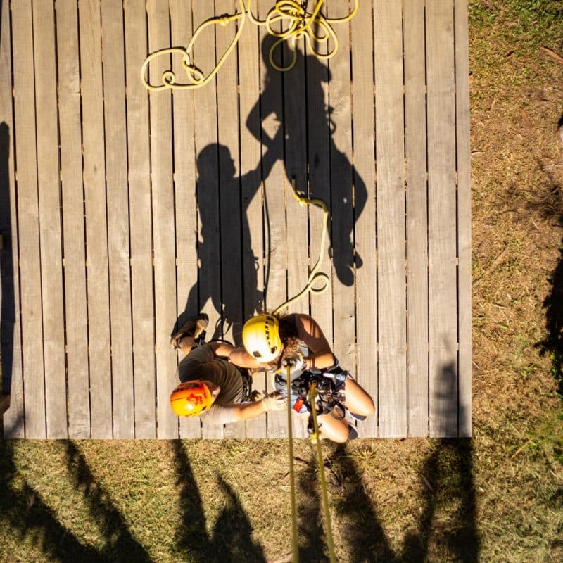 Hawaii Forest & Trail