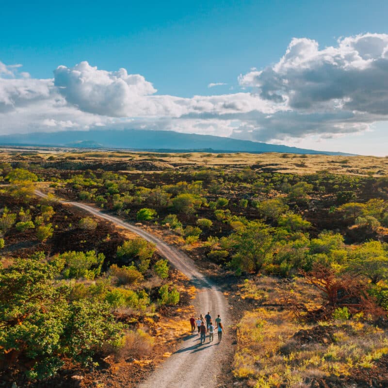 Hawaii Forest & Trail