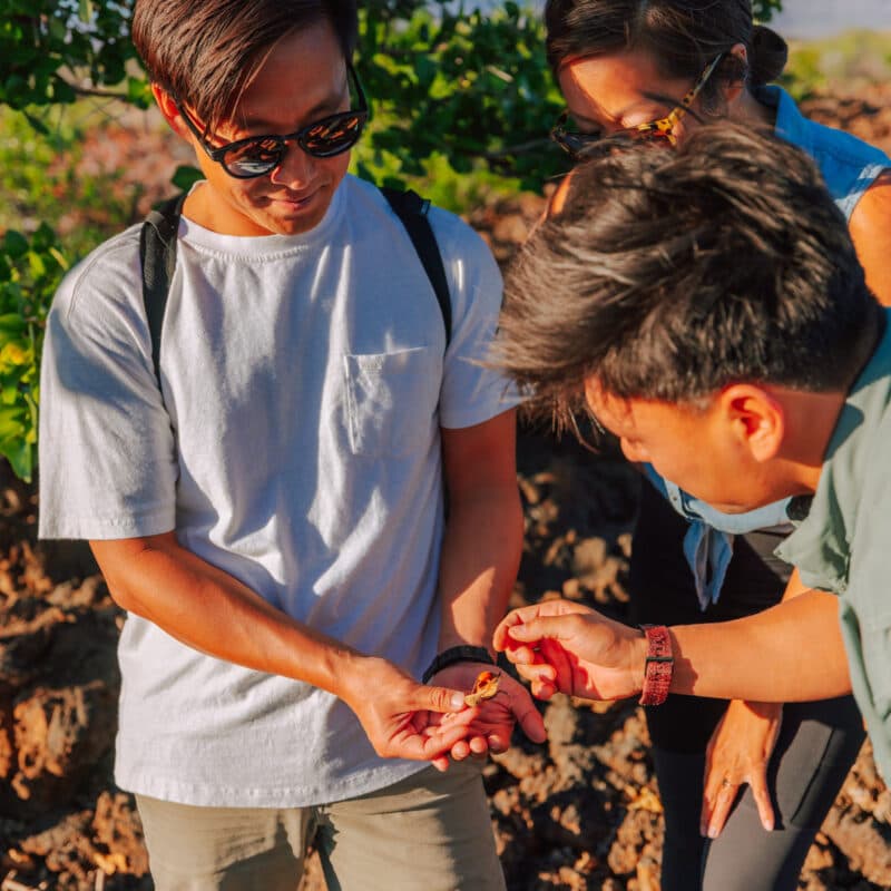 Hawaii Forest & Trail
