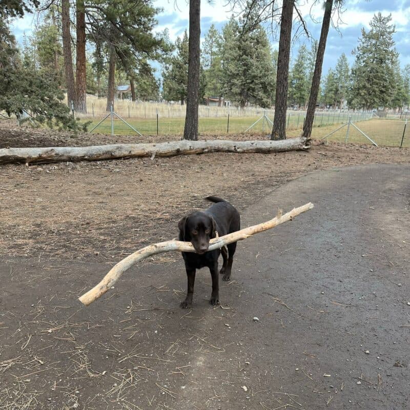 Bend Park & Recreation District