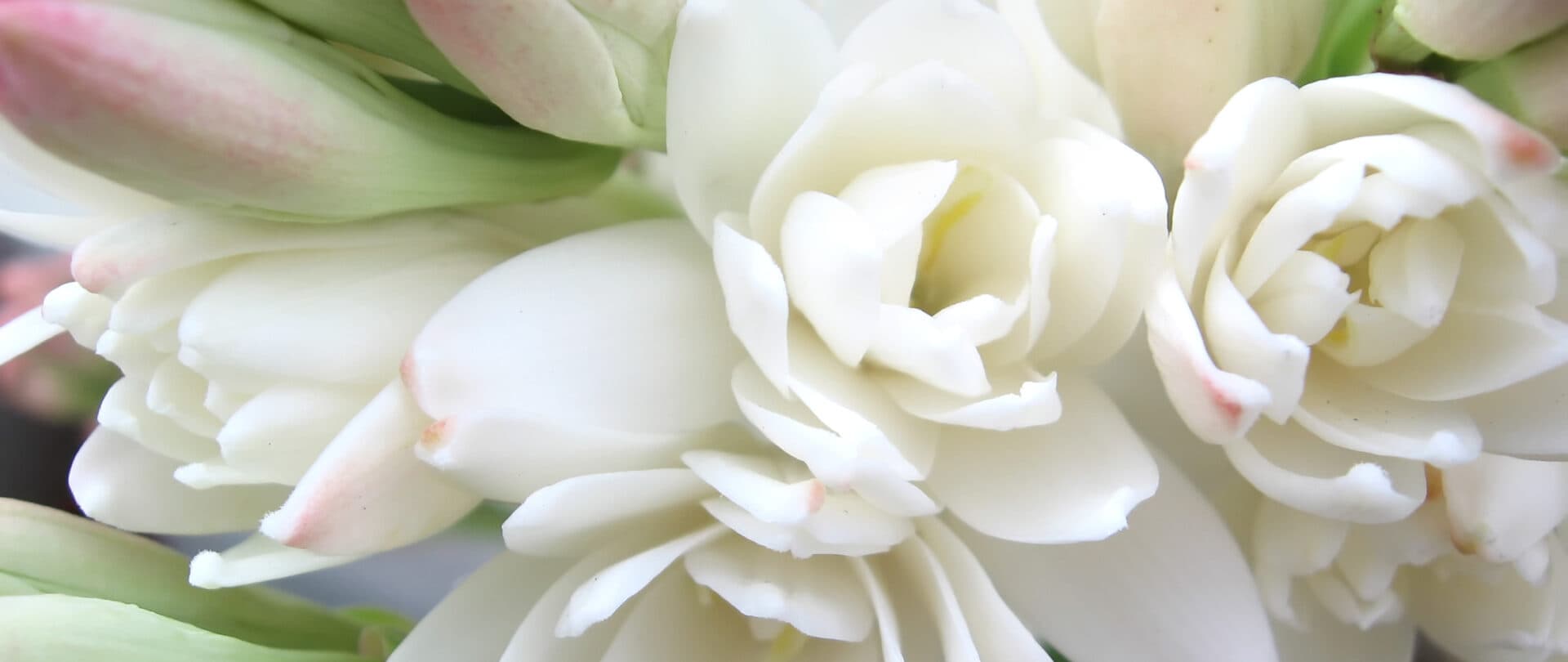 card-image