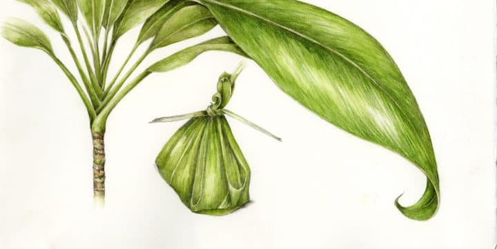 card-image